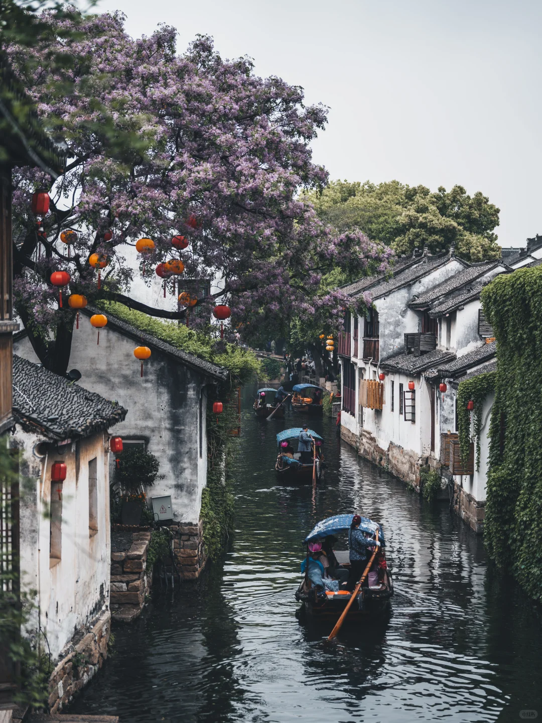 同一空间在不同时间使用,观察记录应该怎样比较配图